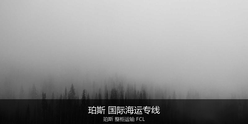 海运拼箱与整柜运输优劣对比